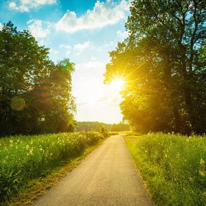 Album Sunny Country from 