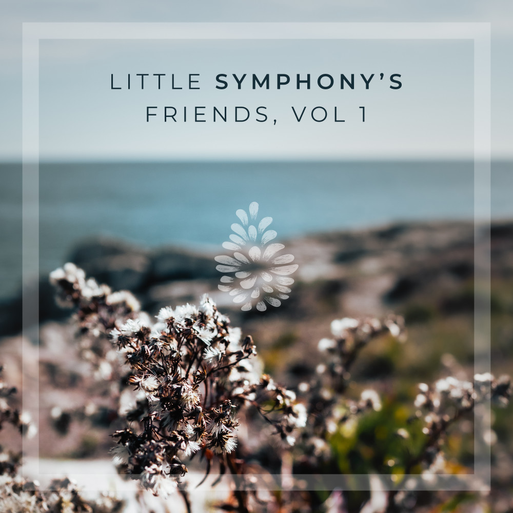 Little Symphony's Friends, Vol. 1