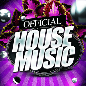 Ibiza House Music的專輯Official House Music