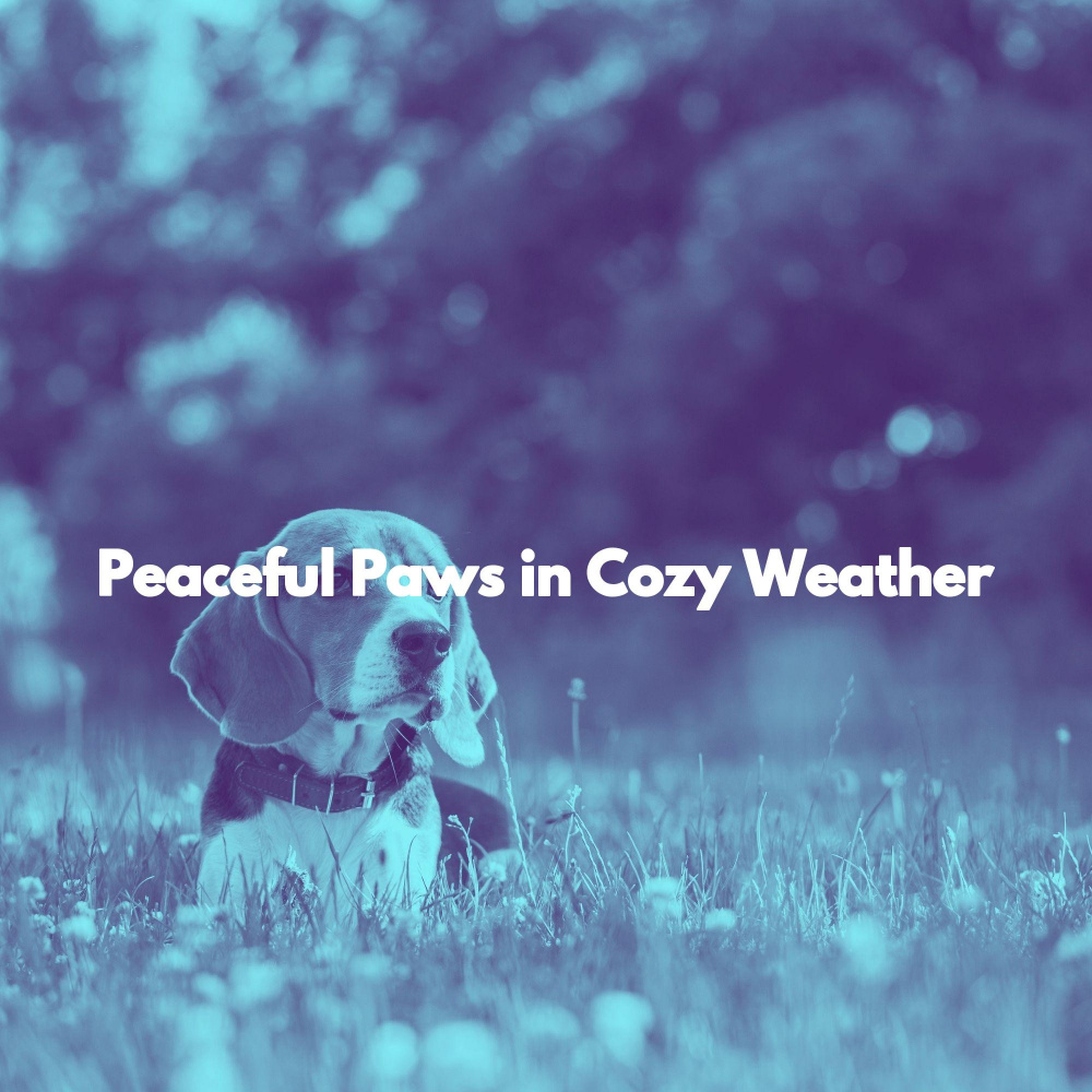 Chilled Ambiance for Rainy Seasons