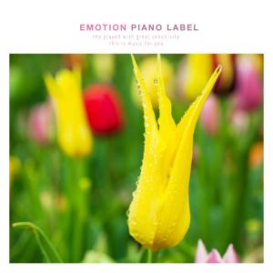 Various Artists的專輯Beautiful Melodic Piano For Meditation Time