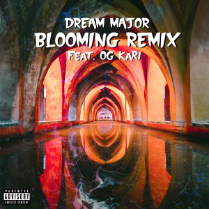 Album Blooming (Remix) (Explicit) from New Boy Genius