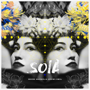 Listen to Run With Wolves (Mez Remix) song with lyrics from Soia