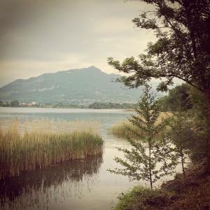Dengarkan Study with Me lagu dari Relaxing Music dengan lirik