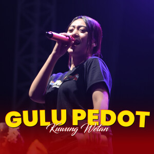 Album Gulu Pedot (Explicit) from 