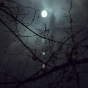 Album 花影重来 from 