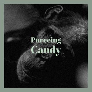 Listen to Forearms Porcupine song with lyrics from Nohemy