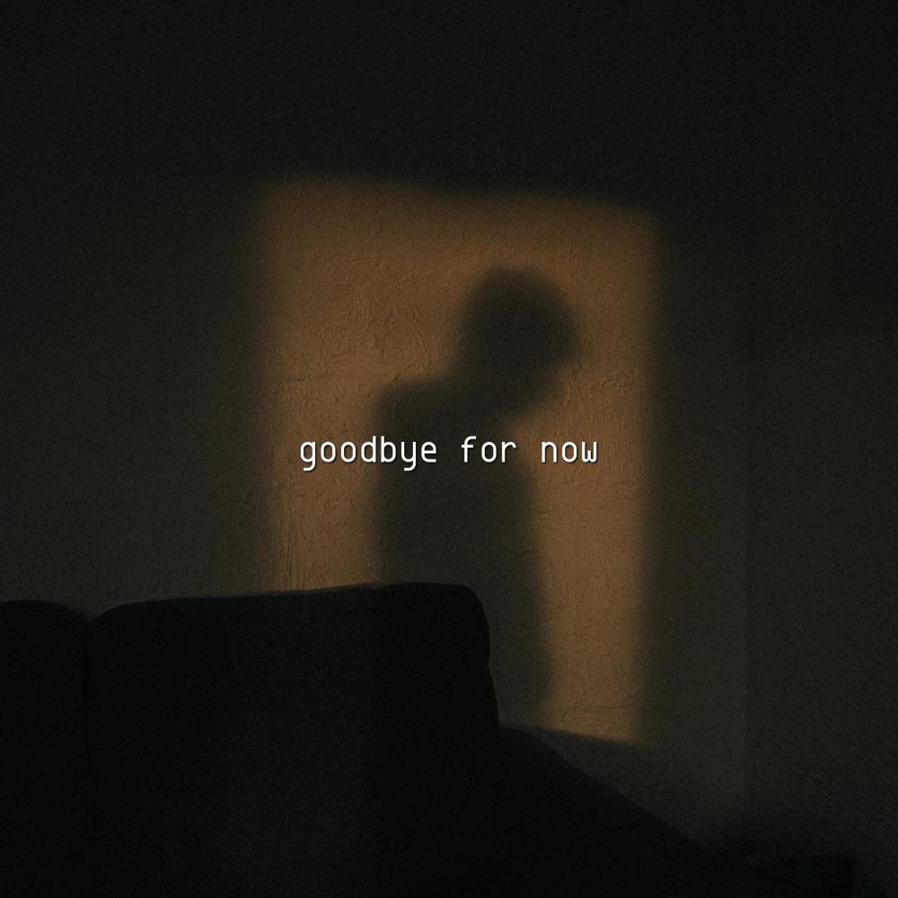 goodbye for now (Instrumental)