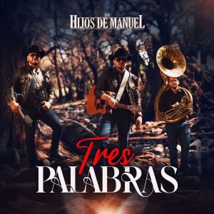 Los Hijos De Manuel的专辑Tres Palabras