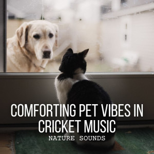 Album Nature Sounds: Comforting Pet Vibes in Cricket Music from Nature Sounds Collabo