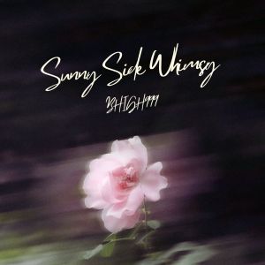 Album Sunny Side Whimsy from BHIGH999