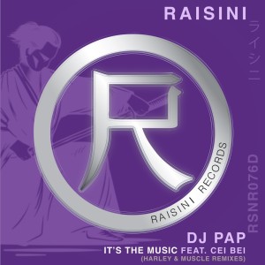 Album It's the Music (Harley&Muscle Deep Remix) from DJ Pap