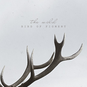 Bird Of Figment的專輯The Wild
