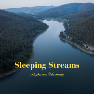 Sleeping Streams: Nighttime Harmony