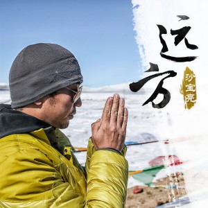 Album 远方 from 沙宝亮