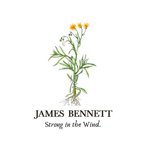 收听James Bennett的Strong in the Wind歌词歌曲
