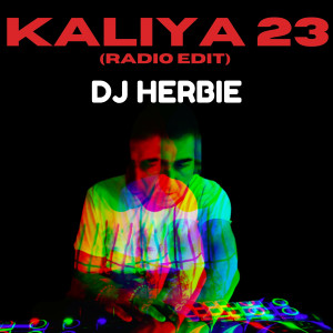 Dengarkan lagu Kaliya 23 (Radio Edit) nyanyian DJ Herbie dengan lirik