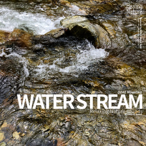 收听힐링 네이쳐 Nature Sound Band的The Water Drops (Team Malibu)歌词歌曲