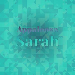 Various的专辑Appaloosa Sarah