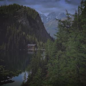 Listen to Focus, Sleep, Relax song with lyrics from Sleep Sound Library