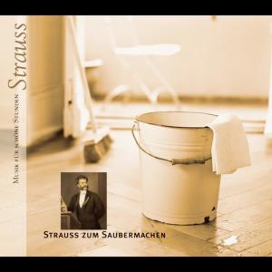 ดาวน์โหลดและฟังเพลง The Blue Danube Waltz, Op. 314 พร้อมเนื้อเพลงจาก New York Philharmonic