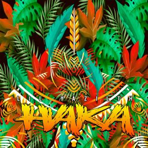 ดาวน์โหลดและฟังเพลง Haka พร้อมเนื้อเพลงจาก Lil Yazilth