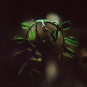 Album DIVeOntoColdness from june4047
