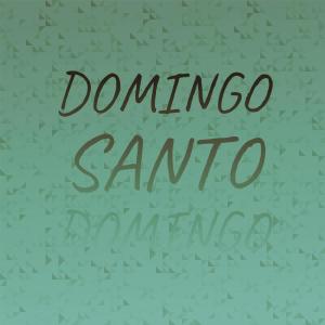 收聽Hula Hawaiian Quartett的Domingo Santo Domingo歌詞歌曲