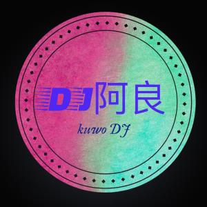 收聽王小康的誰能明白我(DJ阿良版)歌詞歌曲