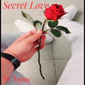 收聽The Beginning的Secret Love歌詞歌曲