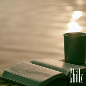 Chillz的專輯Peaceful Moments