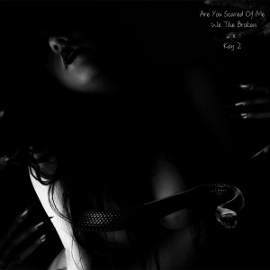 收聽We The Broken的Are You Scared of Me (Explicit)歌詞歌曲