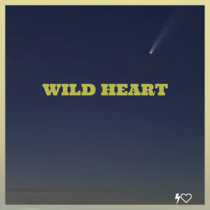 ดาวน์โหลดและฟังเพลง Wild Heart พร้อมเนื้อเพลงจาก Steve Atkins