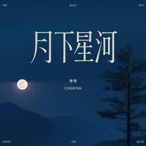 Album 月下星河 from 曾惜