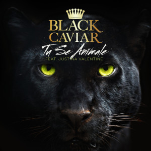 Listen to Tu Se Animale (feat. Justina Valentine) song with lyrics from Black Caviar