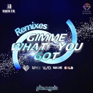 NeoMick的专辑Gimme What You Got (Remixes) (Explicit)