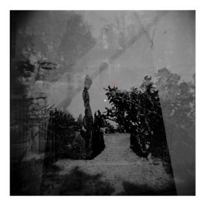 Listen to En papier song with lyrics from Le fruit vert