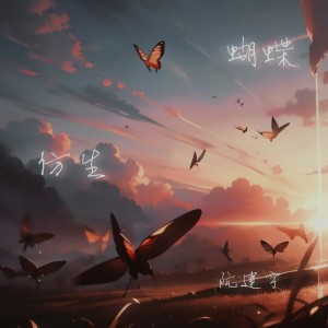 Album 仿生蝴蝶 from 阮建宇