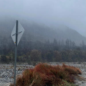 收聽Kohl的Nerium歌詞歌曲