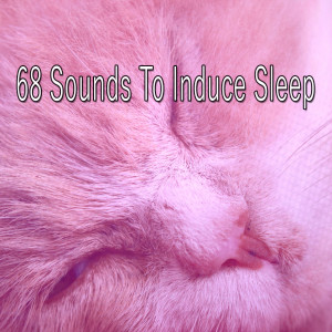 收听Nature Sounds Nature Music的Bedroom Freedom歌词歌曲