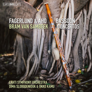 Listen to III. Passacaglia (Adagio) e Cadenza - song with lyrics from Bram van Sambeek