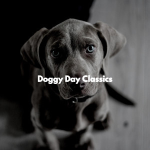 Doggy Day Classics