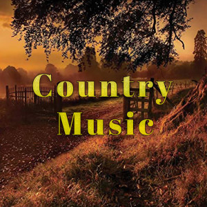 Album Country Music from Various Artists