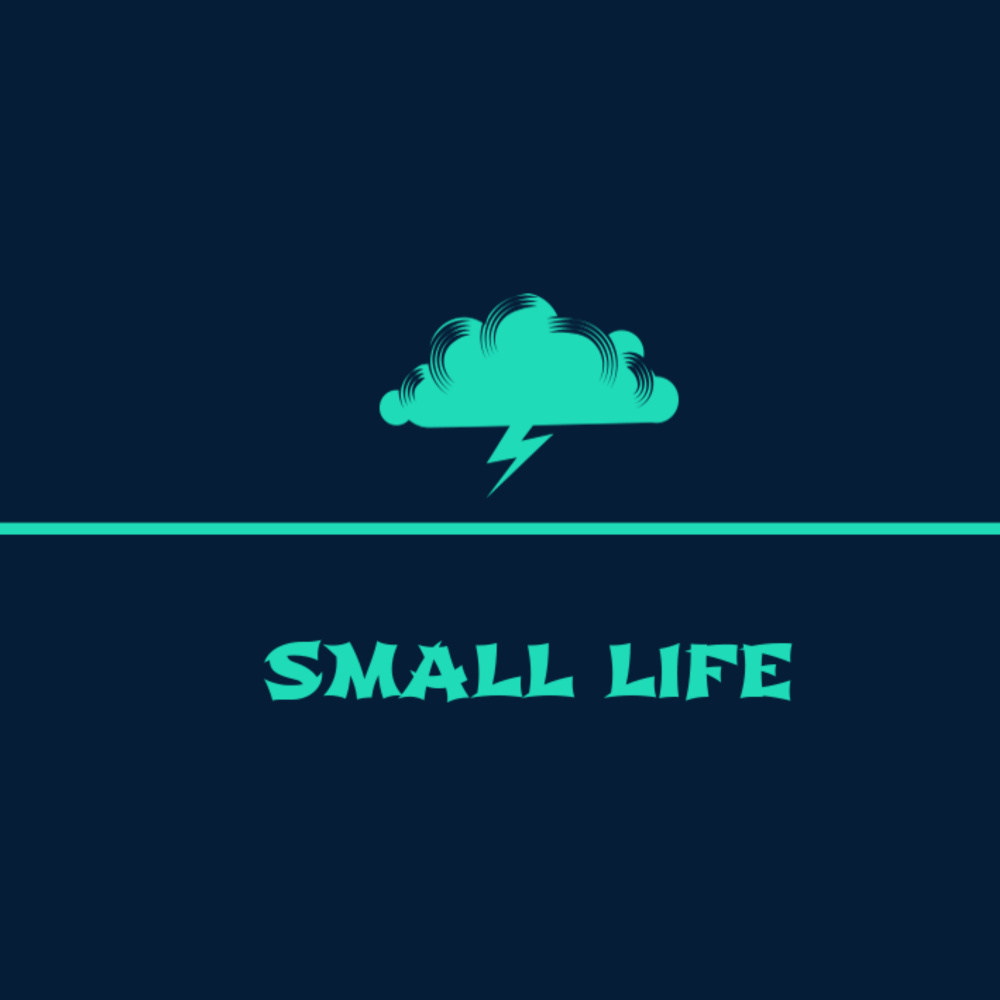 Small Life