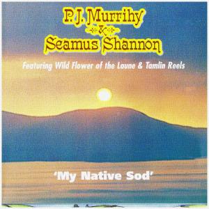 ดาวน์โหลดและฟังเพลง Auburn Waltz พร้อมเนื้อเพลงจาก P.J. Murrihy