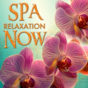 New Age Music的專輯Spa Relaxation Now