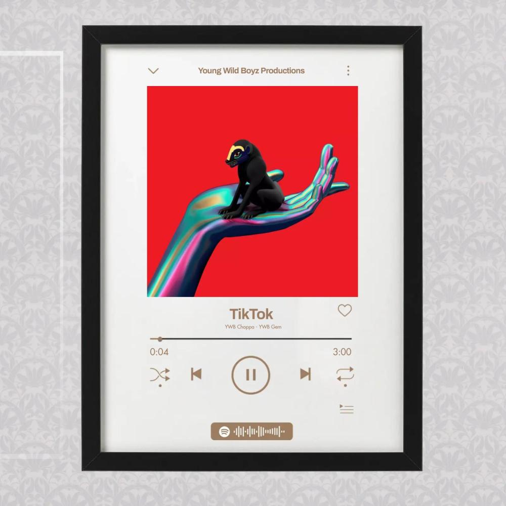 TikTok (feat. YWB Gem) (Explicit)