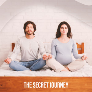 Album The Secret Journey (Calming Moonlight, Soothing Bedtime Relief for Parents) oleh Healing Music Academy