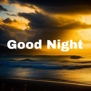 Vishal - Shekhar的專輯Good Night