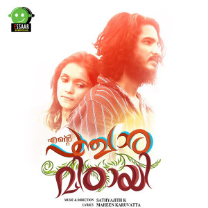 Album Panjara Mittayi from Various